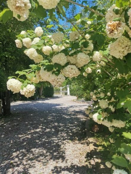 Le Clos De La Rose Gite Bien Etre Wirwignes Exterior foto